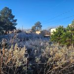 Registra CEPC heladas en gran parte del estado