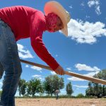 FCAyF-UACH establece parcela experimental para definir la densidad óptima de plantación de sotol.
